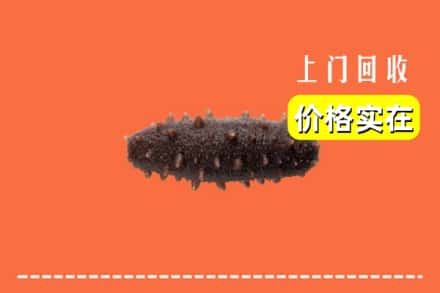 诚信求购:舟山高价回收海参